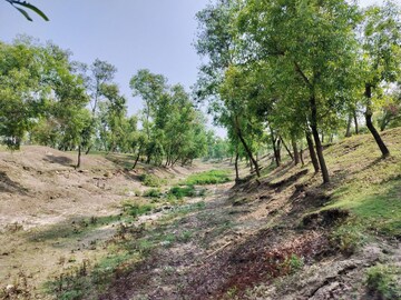 ইকো-ট্যুরিজম