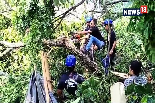 ঝড়ে ভেঙে পড়া গাছ কাটছে বিপর্যয় মোকাবেলা দল