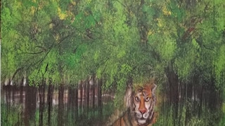 'হ্যালো হেরিটেজ অফ কলকাতার'পক্ষ থেকে আলিপুর চিড়িয়া খানায় একটি 'অঙ্কন অনুশীলন 'অনুষ্ঠিত হয়