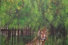 এটাই সবথেকে মোক্ষম জায়গা - কোন জায়গায় বসল এত বড় আঁকার আসর