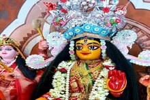 বছরে মাত্র একবার কদমগাছে একটি মাত্র ফুল ফোঁটে! জয়নগরে অলৌকিক ঘটনা! জানুন