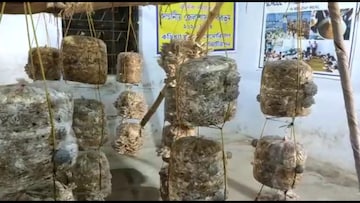 পড়ুয়াদের