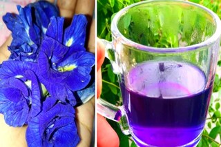 অপরাজিতা ফুলের চা