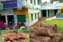 সবুজায়নে উদ্যোগী সরকার, তবে কেন হাসপাতালের গাছ কাটছে পঞ্চায়েত!