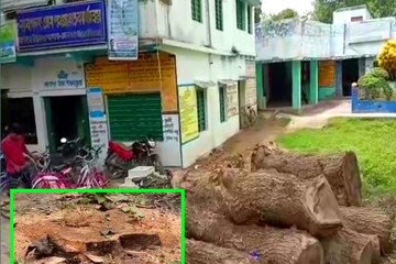 সবুজায়নে