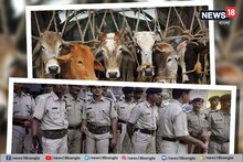 গরু পাচার কেলেঙ্কারিতে ফের গ্রেফতার কেষ্ট মণ্ডল! নতুন করে ফাঁসলেন অনুব্রত?
