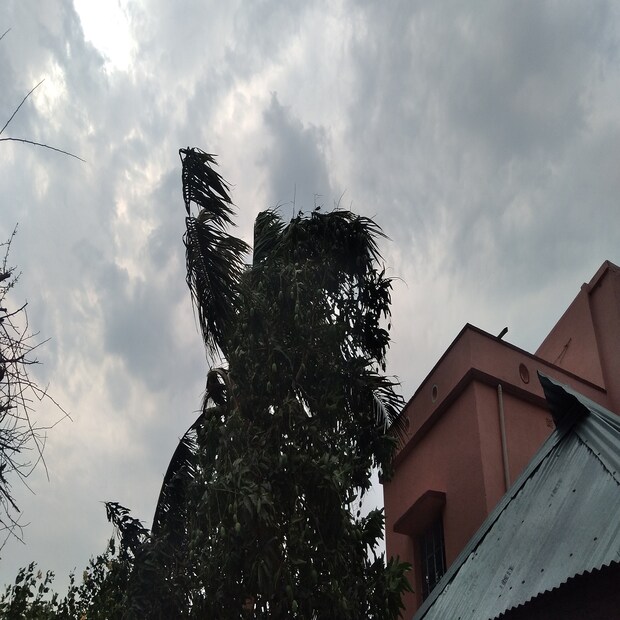 যদিও এই বৃষ্টিপাত নিম্নচাপ বা সাইক্লোন মোকার প্রভাবে নয় বলেই জানা গিয়েছে আলিপুর আবহাওয়া দফতর সূত্রে। বৃহস্পতিবার পর্যন্ত রাজ্যের বিভিন্ন জেলাগুলিতে এই বৃষ্টিপাত চলবে। ফলে তাপমাত্রা বেশ কিছুটা নিচের দিকেই থাকবে। তবে শুক্রবার তাপমাত্রা কিছুটা বাড়ার আশঙ্কা রয়েছে।