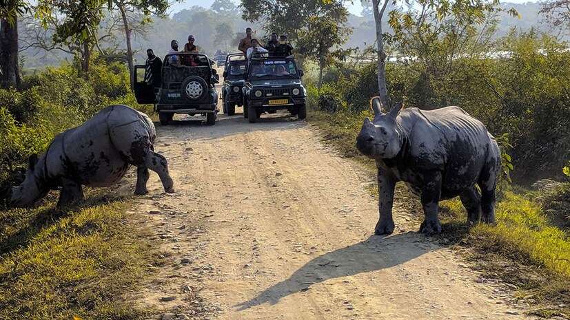 কাজিরাঙ্গা জাতীয় অরণ্য প্রথম ১৯০৫ সালে একটি সংরক্ষিত অরণ্য হিসাবে প্রতিষ্ঠিত হয়েছিল। পরে ১৯৭৪ সালে এটি একটি জাতীয় অরণ্য ঘোষণা করা হয়। কাজিরাঙ্গা ২০০৭ সালে টাইগার রিজার্ভ হয়ে ওঠে। এটি আসামের নগাঁও, গোলাঘা এবং সোনিতপুর জুড়ে বিস্তৃত। পার্কের সদর দপ্তর গোলাঘাট জেলার বোকাখাটে। এই জঙ্গলের নাম কাজিরাঙা হওয়ার পিছনে রয়েছে চোখে জল আনা এক কাহিনি যা আজও মানুষের মুখে মুখে ফেরে।