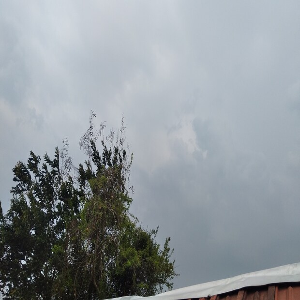 ১০ তারিখ ঘূর্ণিঝড় মোকা সাইক্লোন রূপে আছড়ে পড়ার আশঙ্কা। যদিও কোথায় ঘূর্ণিঝড়ের ল্যান্ডফল হবে, সে বিষয়ে এখনও নিশ্চিত নয় মৌসম ভবন। তবে বাংলাদেশ বা মায়ানমার উপকূল ধরে ঘূর্ণিঝড় মোকা এগিয়ে যাওয়ার আশঙ্কা রয়েছে।