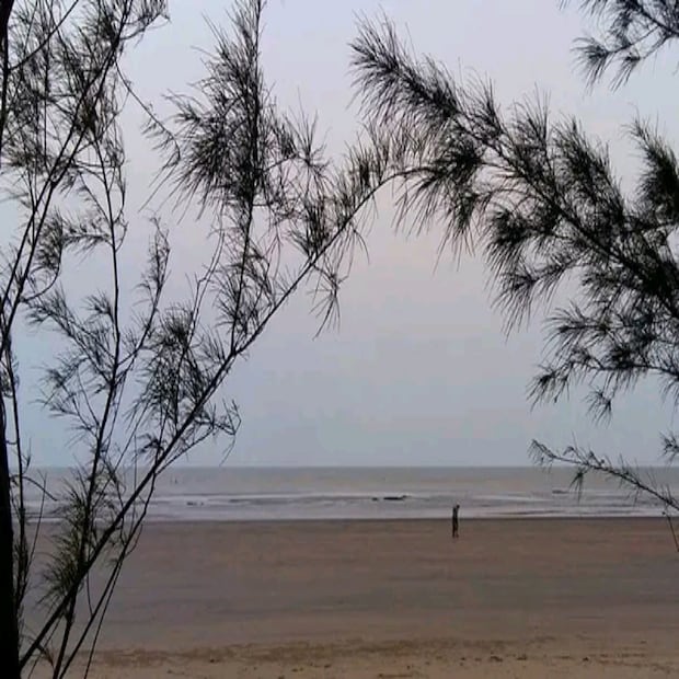 যাত্রাপথে সুন্দরবনের অপরূপ শোভা দেখতে পাবেন আপনি। এছাড়াও দেখতে পাবেন বেশ কয়েকটি ছোট নদীর সঙ্গমস্থল। বঙ্গোপসাগরের বড়ো ঢেউ। বিস্তীর্ণ ঝাউবন। আর এখানকার মানুষজনের জীবনযাত্রা। (তথ্য-- নবাব মল্লিক)