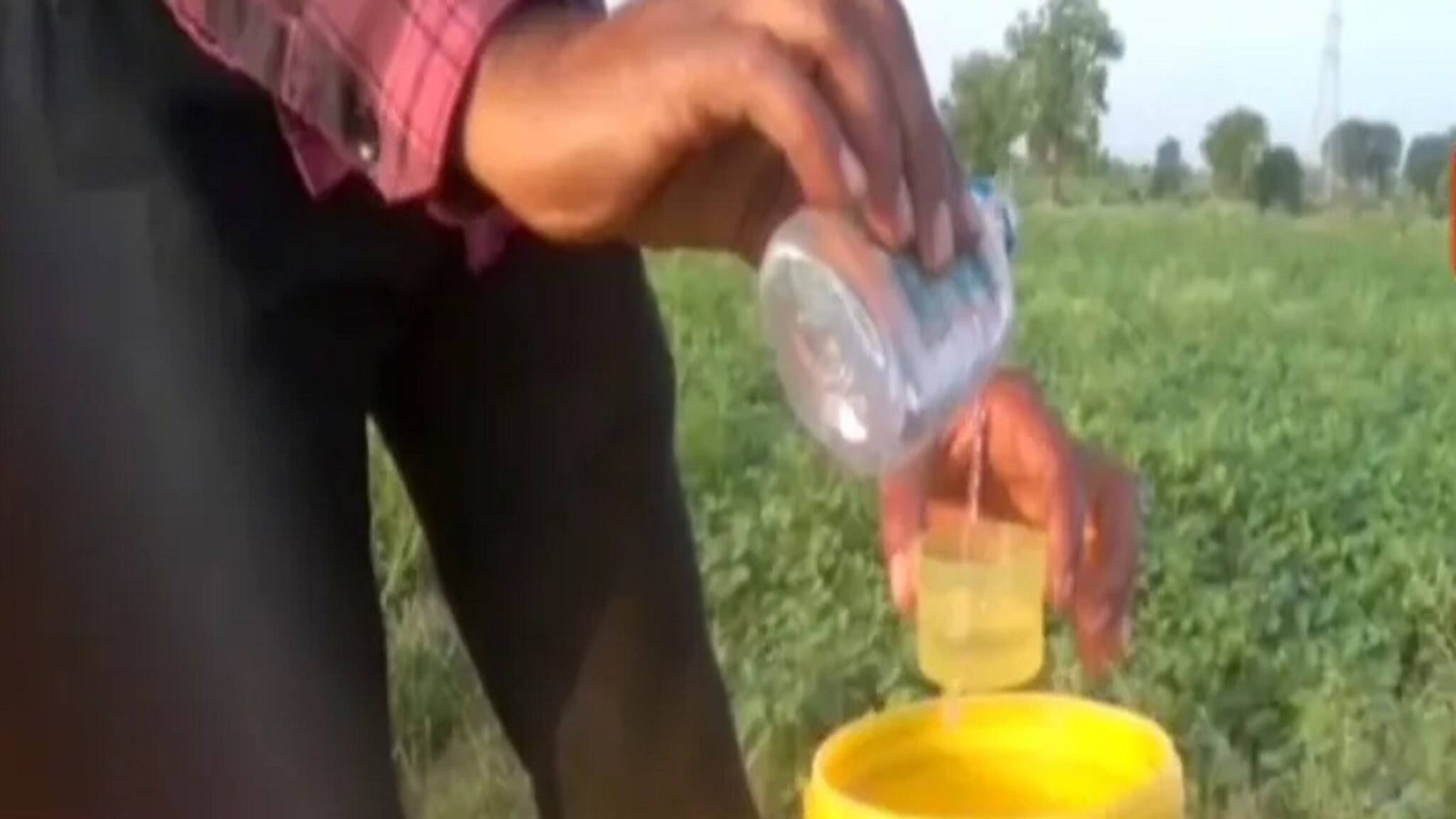 OMG! দ্বিগুণ ফলনের জন্য চাষের খেতে ছড়ানো হচ্ছে মদ! লাভের থেকে ক্ষতি হচ্ছে না তো ?