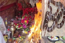 চিতি সাপের আচমকা ছোবল! আরোগ্য কামনায় মনসা পুজো, তারপরেই ঘটল মিরাকেল