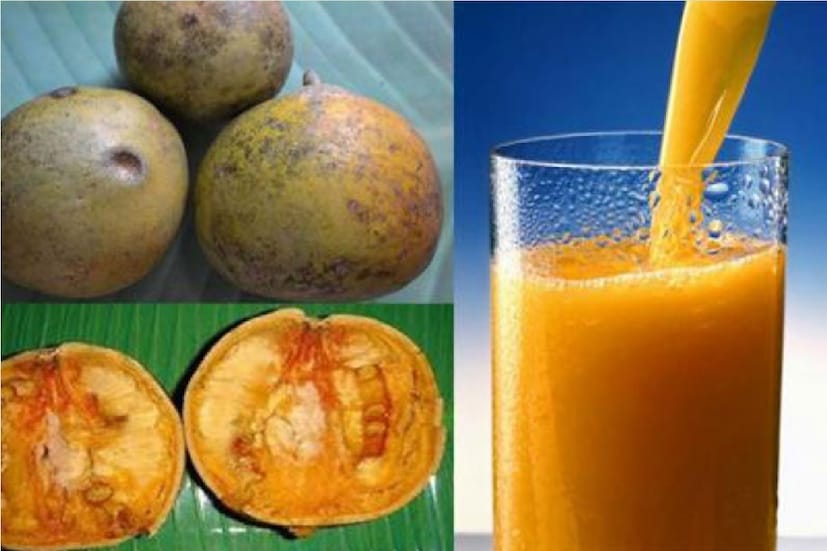 *পেট পরিষ্কার করতে বেল বিশেষ উপকারী। তবে এটা একদম সত্যি বেল পেট পরিষ্কার করতে বিশেষ সাহায্য করে। নিয়মিত রোজ যদি আপনি বেলের শরবৎ খেতে পারেন তাহলে আপনার পেটের সমস্যা দূর হবে এবং পেট পরিস্কার থাকবে । কোষ্ঠকাঠিন্য আর হবে না। তাই পেট পরিস্কার রাখতে পাকা বেলের শাঁস বের করে চিনি দিয়ে মিশিয়ে আর জল বা দুধে ঘেঁটে শরবৎ করে খান। ফাইল ছবি। 