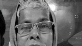 ভানু বাগ 