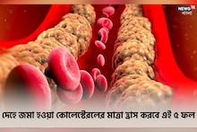 হৃদযন্ত্রের স্বাস্থ্য থাকবে ভাল! দেহে জমা হওয়া কোলেস্টেরলের মাত্রা হ্রাস হবে এতে