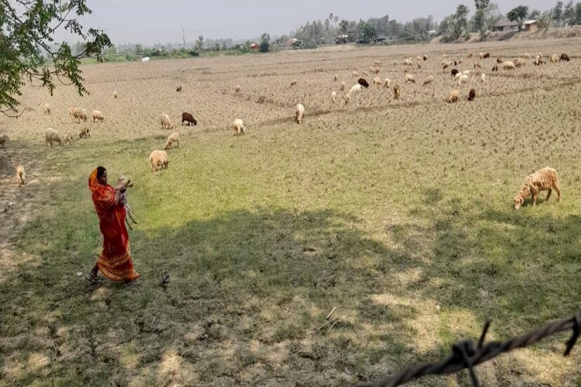 পূর্ব মেদিনীপুর জেলার কাঁথি শহরের এদিনের তাপমাত্রা থাকবে সর্বোচ্চ ৩৯.২ ডিগ্রি সেলসিয়াস এবং সর্বনিম্ন ২৯.১ ডিগ্রি সেলসিয়াস যা স্বাভাবিক সর্বনিম্ন তাপমাত্রা থেকে থেকে ২ ডিগ্রি বেশি। বাতাসে জলীয় বাষ্পের পরিমাণ ৬৭ শতাংশ। জেলার এগরা শহরে এদিন সর্বোচ্চ তাপমাত্রা থাকবে ৩৯.১ ডিগ্রিসেলসিয়াস। এবং সর্বনিম্ন তাপমাত্রা ২৮.৬ ডিগ্রিসেলসিয়াস। বাতাসে জলীয়বাষ্পের পরিমাণ ৫২ শতাংশ। আকাশ পরিষ্কার থাকবে।