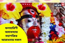 ফলহারিণী অমাবস্যায় মহাশক্তির আরাধনা! গ্রহদোষ, বাধা বিপত্তি নির্মূল হবে
