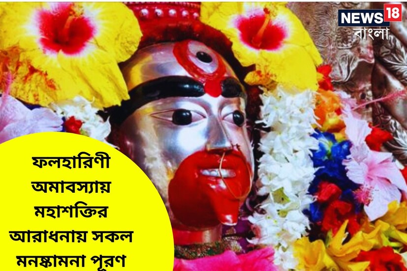 ফলহারিণী কালীপুজোর বিশেষ গুরুত্ব রয়েছে, জ্যোতিষ মতে এই পুজোর জন্য মা কালীর পছন্দের ফল আরাধনার সময় অর্পিত করে মনষ্কামনা ব্যক্ত করেন ধর্মপ্রাণ মানুষেরা ৷ প্রতীকী ছবি ৷