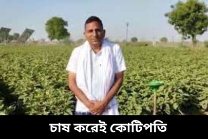 ওকালতি ছেড়ে চাষবাস! সঠিক সিদ্ধান্তে যুবক এখন কোটিপতি! উপায় জানলে আপনিও করবেন