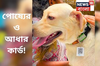 প্রিয় পোষ্যের জন্যও আধার কার্ড! এবার তাকে খুঁজতে সাহায্য করবে QR কোড!