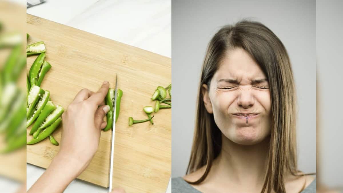Chili Cutting Tips লঙ্কা কাটতে গিয়েই হাতে ভীষণ জ্বালা! এই ৬ টি সহজ