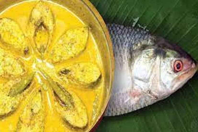 ইলিশ মাছ হৃদপিণ্ডের জন্যও অত্যন্ত উপকারী। এতে রয়েছে স্বাস্থ্যকর ফ্যাট। এছাড়াও এতে থাকা ওমেগা থ্রি ফ্যাটি অ্যাসিড বিভিন্ন প্রকার হৃদরোগকে দূরে রাখে। শরীরে রক্ত সঞ্চালন সঠিক রাখতে সাহায্য করে ইলিশ মাছ। স্বাদের সঙ্গে সঙ্গে স্বাস্থ্যেরও উপকার করে।