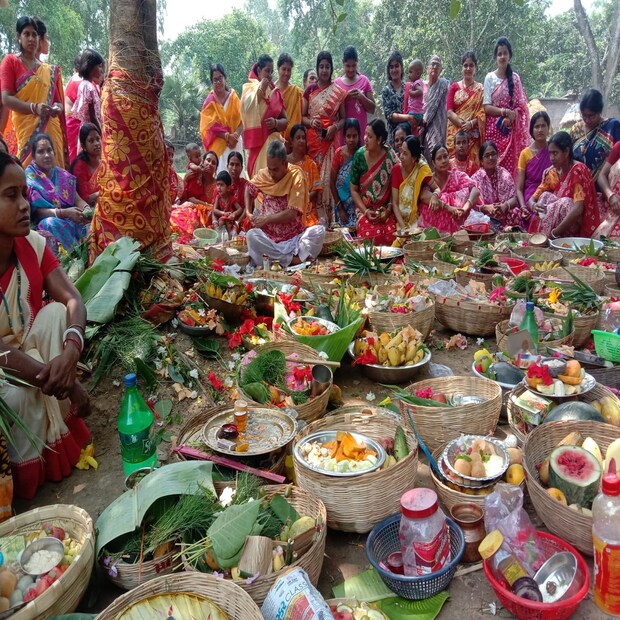 জামাইষষ্ঠীর দিন বালুরঘাট শহর লাগোয়া নাজিরপুর গ্রামের ষষ্ঠী তলায় দেখা গেল এক অদ্ভুত চিত্র। ষষ্ঠী উপলক্ষে সকাল থেকেই যেন ব্যস্ততা তাদের তুঙ্গে। নিজস্ব ছবি ৷