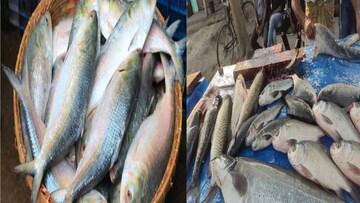 জামাইষষ্ঠীর