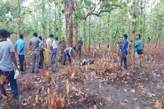 জঙ্গলে কঙ্কাল উদ্ধার