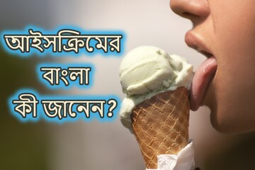 আইসক্রিম তো ইংরেজি শব্দ, এর বাংলা কী জানেন? ৮০ শতাংশই কিন্তু উত্তর দিতে পারবে না