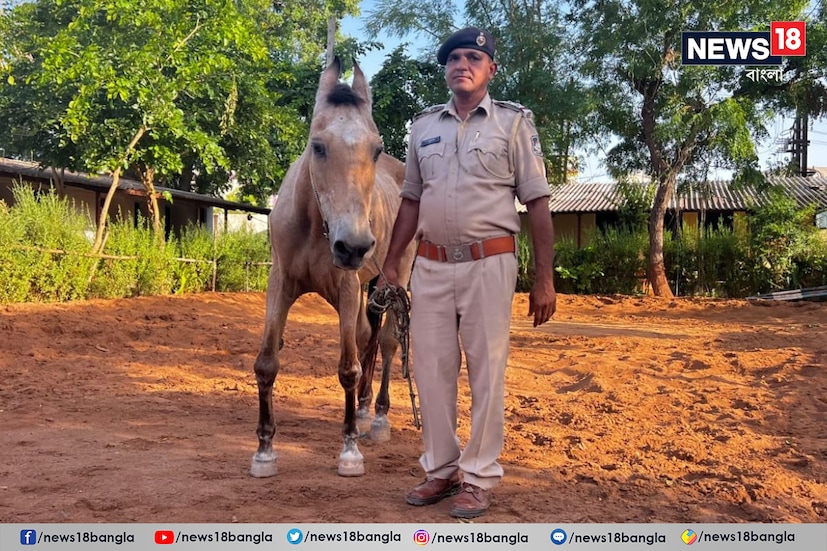 ২০০০ সালে ‘লগান’-এর শ্যুটিংয়ের জন্য ছবির টিম কচ্ছে এসে মাউন্টেড ইউনিটের সাহায্য নিয়েছিল। শ্যুটিংয়ের জন্য চার থেকে পাঁচটি ঘোড়ার সাহায্য নেওয়া হয়েছিল। যার মধ্যে রেখা ছিল সবচেয়ে গুরুত্বপূর্ণ।