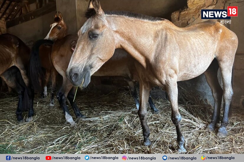 পশ্চিম কচ্ছ পুলিশের মাউন্টেড ইউনিটের সৈন্যরা এখনও ‘লগান’ ছবির শ্যুটিংয়ের দিনগুলি মনে করে। ১৯৯৫ সালে রেখার সঙ্গে ডিউটিতে থাকা কনক সিং জেঠওয়া বলেন, ‘‘ঘোড়া নিয়ে ছবির সেটে যেতে যেতে আমরাও শ্যুটিং ইউনিটের পরিবারের অংশ হয়ে গিয়েছিলাম। এমনকি শ্যুটিংয়ের পরে আমির খান অনেক সময় মাউন্টেড ইউনিটে আসতেন এবং ঘোড়াগুলির জন্য গুড়ও আনতেন। আমির এমনকি ছবির প্রিমিয়ার শো-এর জন্য আমাদের আমন্ত্রণ জানাতে এসেছিলেন।’’