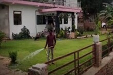 কংক্রিটের জঙ্গলে যেন এক টুকরো স্বর্গোদ্যান! এই বাড়ি দেখলে চোখ ফেরাতে পারেন না
