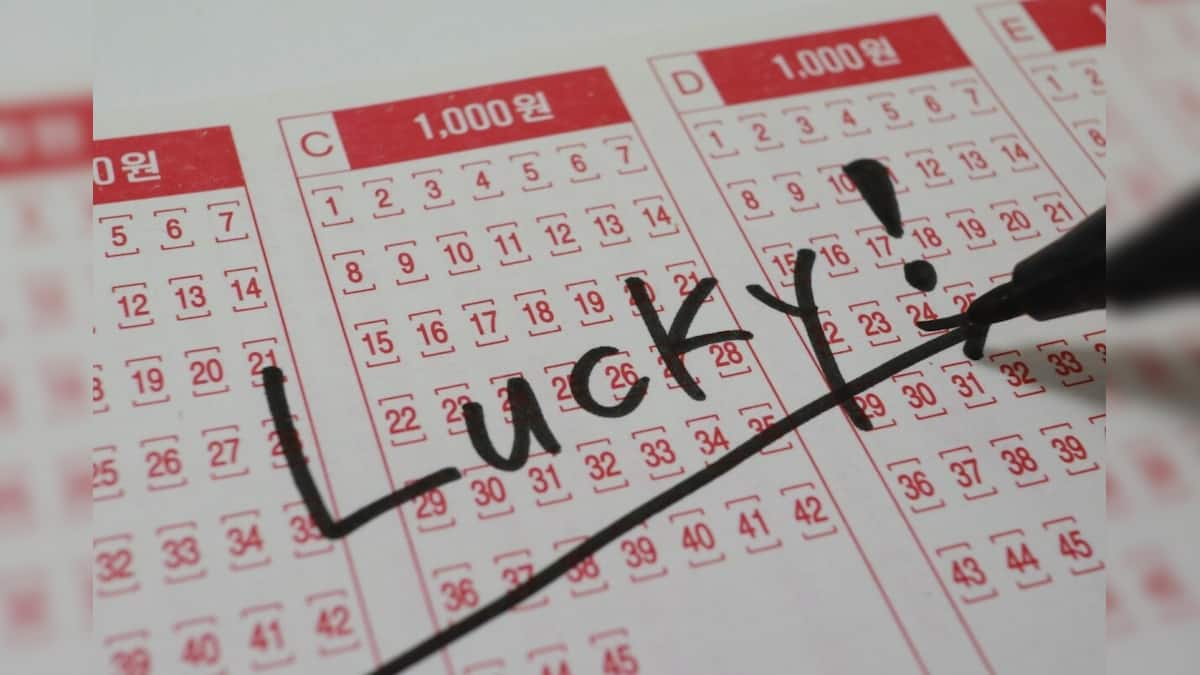 Lottery। Lottery news। Dear lottery। west bengal Lottery। লটারি