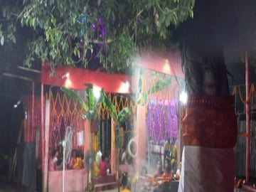 বট