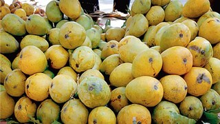 আমি। সংগৃহীত ছবি। 