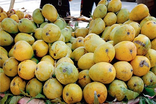 আমি। সংগৃহীত ছবি।
