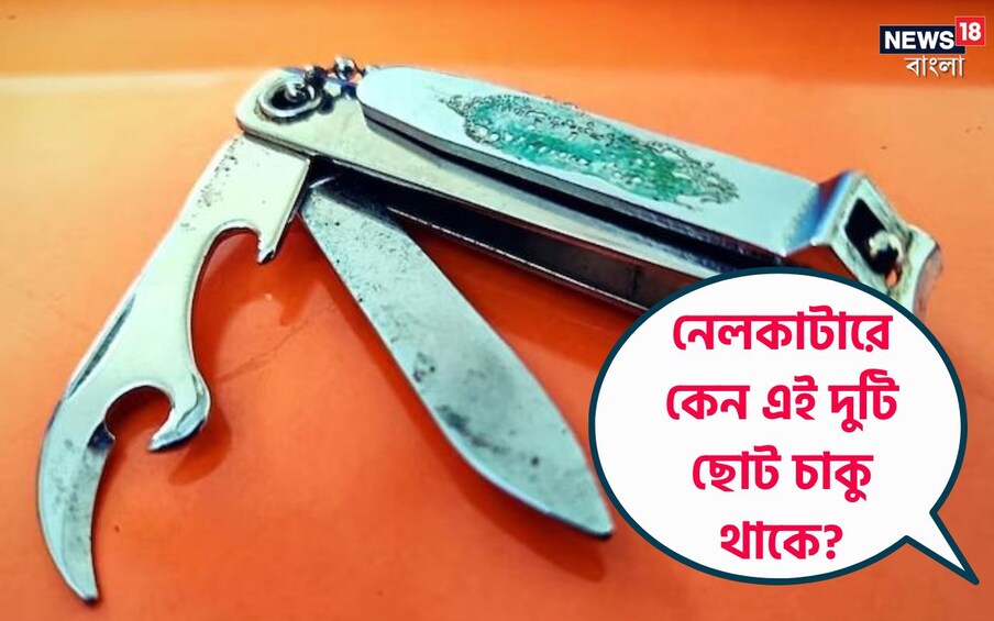  নেলকাটারের ডিজাইন সাধারণত একরকমই থাকে। সকলেই এর ব্যবহার করে থাকেন। আমরা সকলেই দেখি যে নেলকাটারের মধ্যে দুটি ছোট চাকু থাকে।