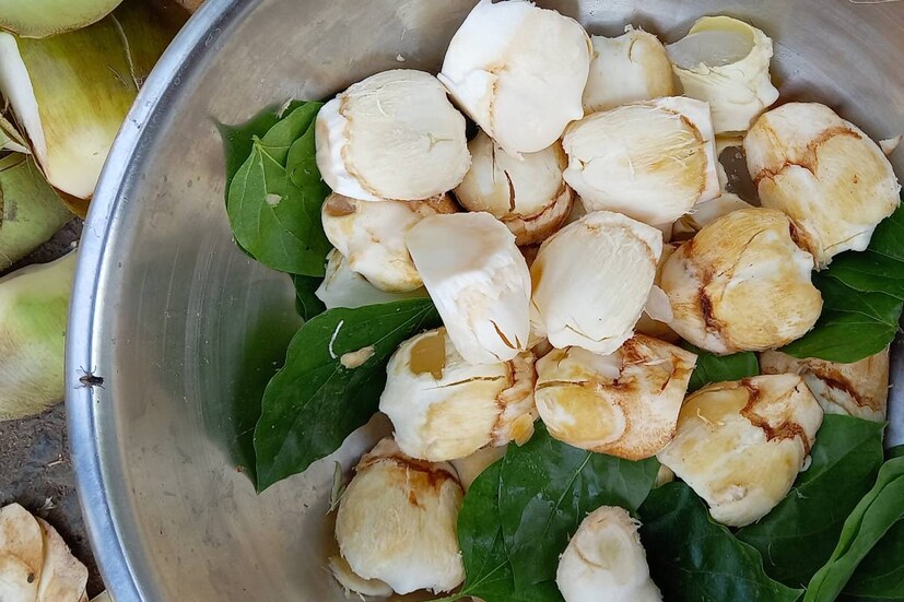 গরমকালে ডাবের জবের মতোই উপকারী তালশাঁস। এতে প্রচুর পরিমাণ অ্যান্টিঅক্সিড্যান্ট, ভিটামিন, ফাইবার এবং খনিজ উপাদান থাকে। 