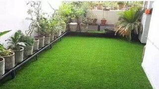 ঘাস চাষ করে লাভবান হচ্ছেন কৃষকরা