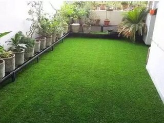 ঘাস চাষ করে লাভবান হচ্ছেন কৃষকরা