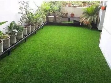 ঘাস চাষ করে লাভবান হচ্ছেন কৃষকরা