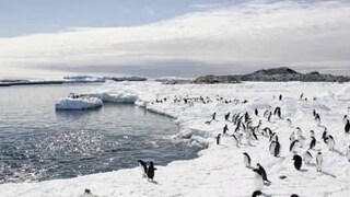 অ্যান্টার্কটিকা (ফাইল ছবি)