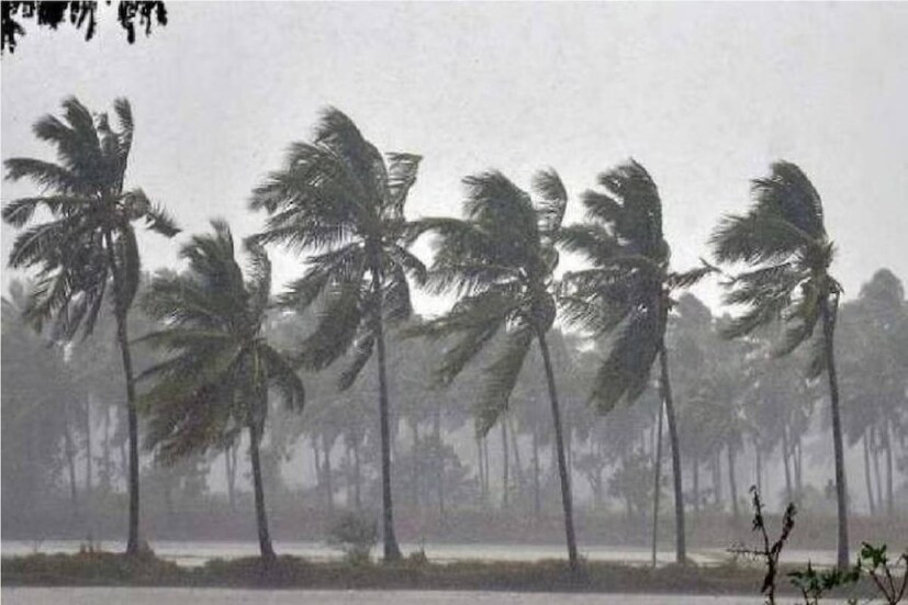 বৃষ্টির ফলে হাসি ফুটেছে কৃষকদের মুখেও৷ কারণ শুকনো গরম ও তাপপ্রবাহে সমস্যায় পড়েছিলেন তাঁরা৷