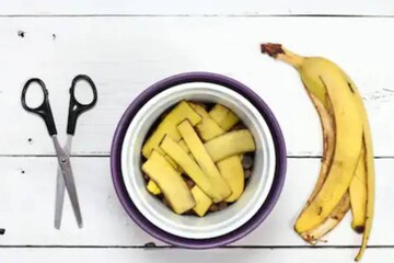 অকাজের ভেবে অবহেলা! কলার থেকে কম যায় না তার খোসা, গুণাগুণ জানলে বদলে যাবে জীবন