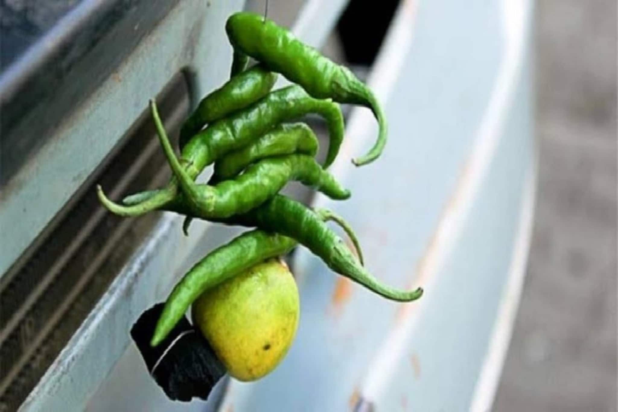 কেন লেবু-লঙ্কা ঝোলানো হয় দোকান বা গাড়ির সামনে? পিছনের আসল কারণটা জানেন কি?