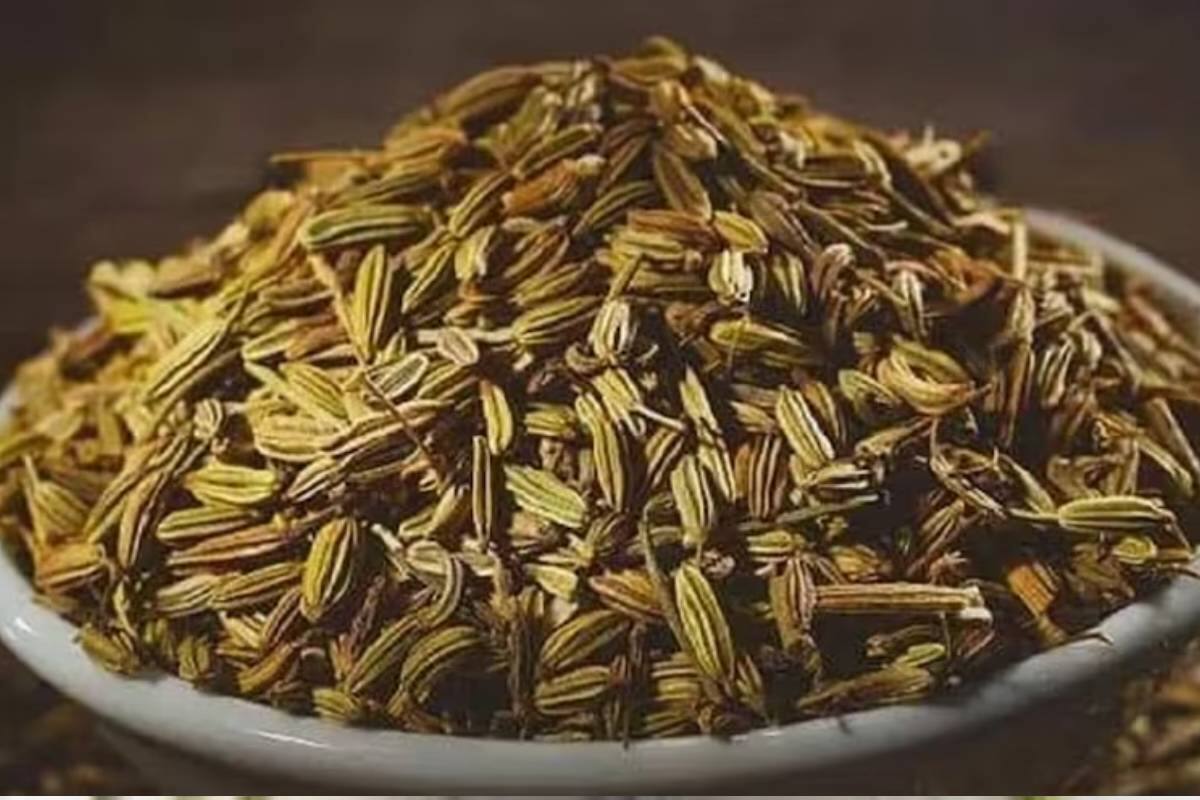 Fennel Seeds as Mouth Freshener এই বিশেষ কারণেই খাওয়ার পর মুখশুদ্ধি