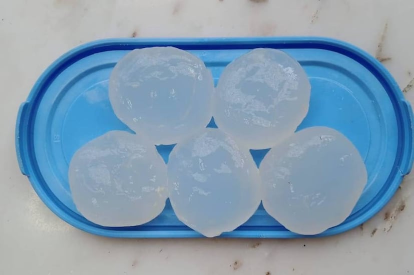 এহেন জনপ্রিয় ফল তালশাঁসের ইংরেজি নাম কিন্তু একাধিক। ইংরেজিতে অনেক নামে ডাকা হয় এই ফলকে।