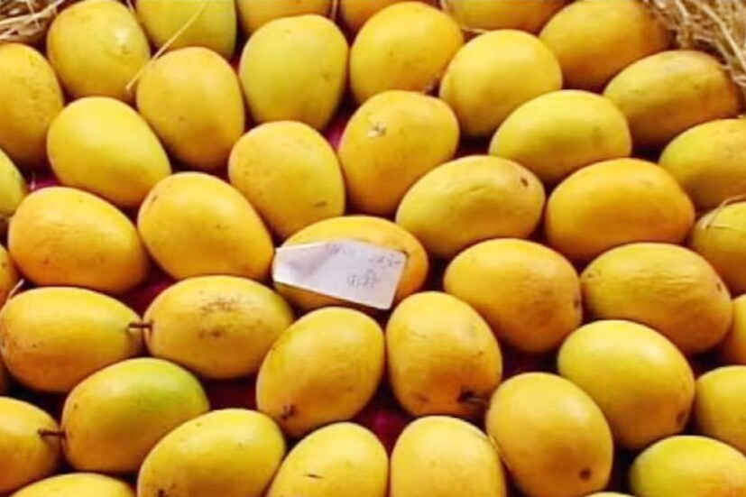 আমের খোসায় বলিরেখা থাকলে কিনবেন না৷ তার স্বাদ ভাল হবে না৷ আমের গা যেন নিটোল হয় সেদিকে খেয়াল রাখবেন৷ 