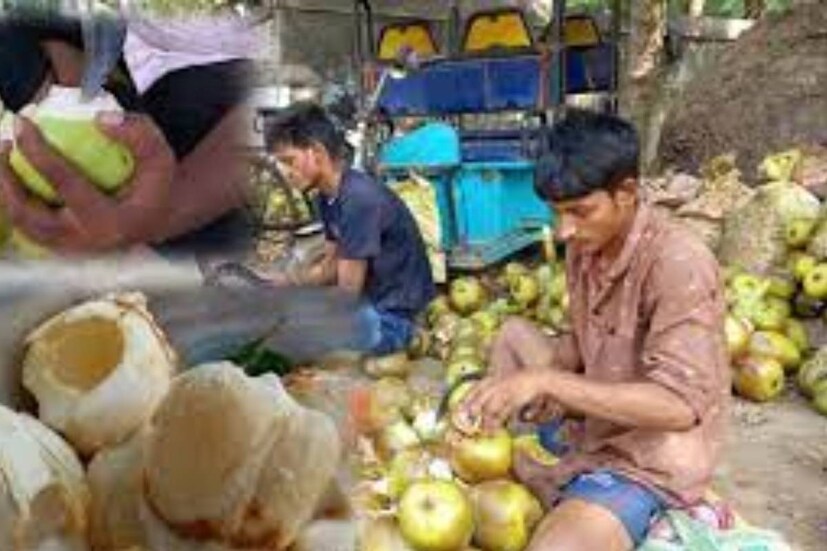 এছাড়াও ডাউব পাম (doub palm), পালমাইরা পাম (palmyra palm), ট্যালা পাম (tala palm) এবং টডি পাম (toddy palm) নামেও পরিচিত এই সুশীতল ফল।